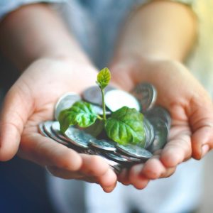 Hands cupping coins with a green plant sprouting, symbolizing financial growth.
